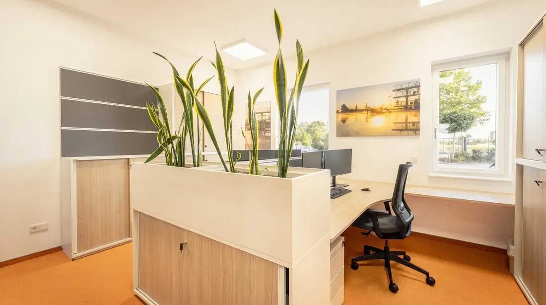 Büro im Wagram@Work mit Eckschreibtisch, Bildschirmen und Pflanzentrog