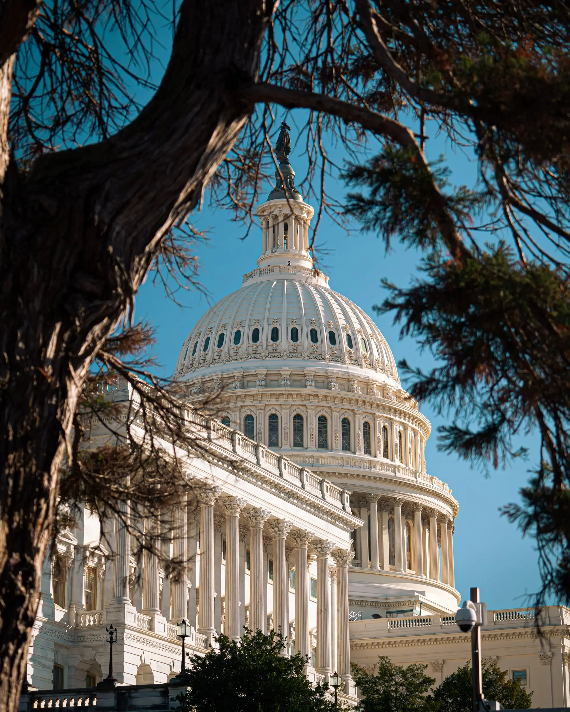 Travel photo from Washington, D.C.