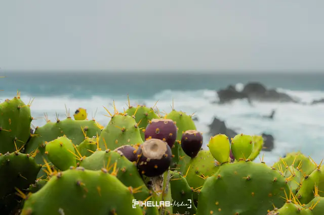 Azores, travel photo 42 of 199 by Pixellab-Media