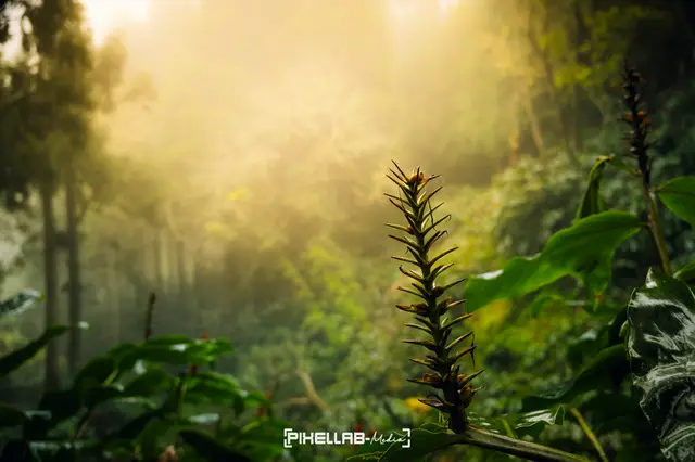 Azores, travel photo 44 of 199 by Pixellab-Media