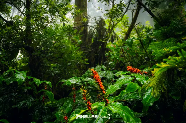 Azores, travel photo 45 of 199 by Pixellab-Media