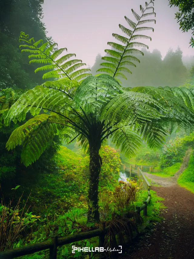Azores, travel photo 46 of 199 by Pixellab-Media
