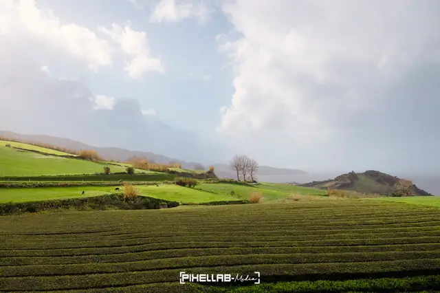 Azores, travel photo 71 of 199 by Pixellab-Media