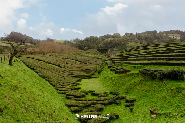 Azores, travel photo 72 of 199 by Pixellab-Media