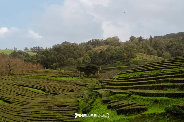 Azores, travel photo 73 of 199 by Pixellab-Media