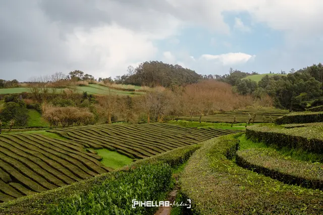 Azores, travel photo 75 of 199 by Pixellab-Media