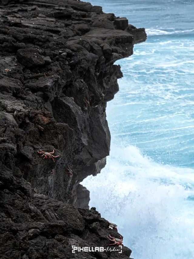 Azores, travel photo 130 of 199 by Pixellab-Media