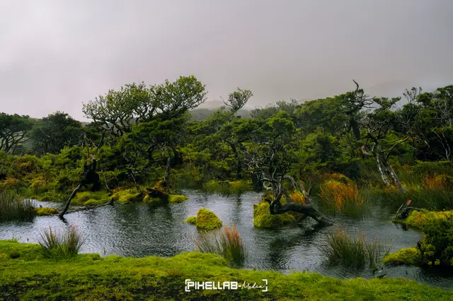 Azores, travel photo 155 of 199 by Pixellab-Media