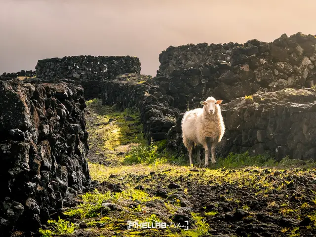 Azores, travel photo 163 of 199 by Pixellab-Media