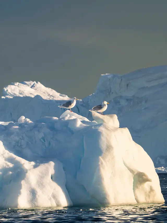Greenland, travel photo 63 of 82 by Pixellab-Media