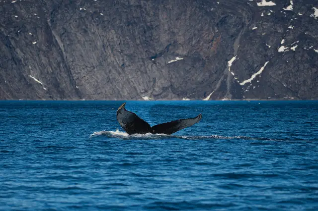 Greenland, travel photo 72 of 82 by Pixellab-Media
