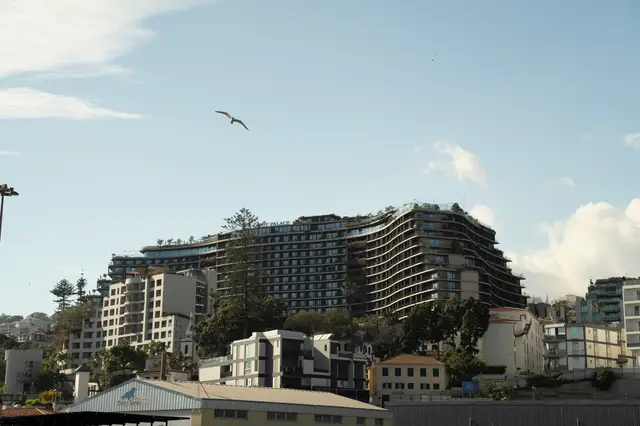 Madeira, travel photo 7 of 121 by Pixellab-Media