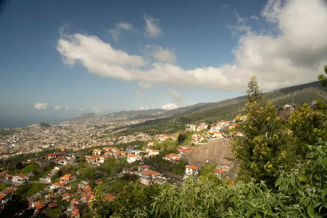 Madeira, travel photo 13 of 121 by Pixellab-Media
