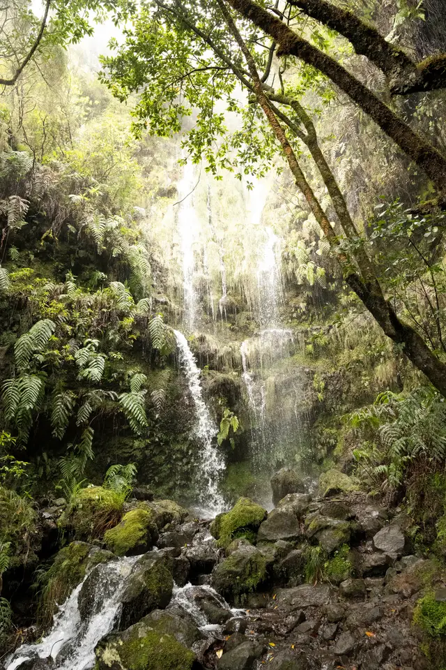 Madeira, travel photo 42 of 121 by Pixellab-Media