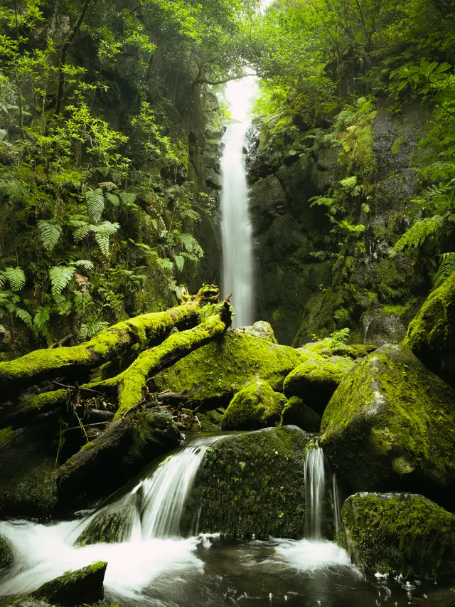 Madeira, travel photo 52 of 121 by Pixellab-Media