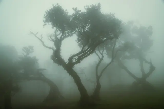 Madeira, travel photo 66 of 121 by Pixellab-Media