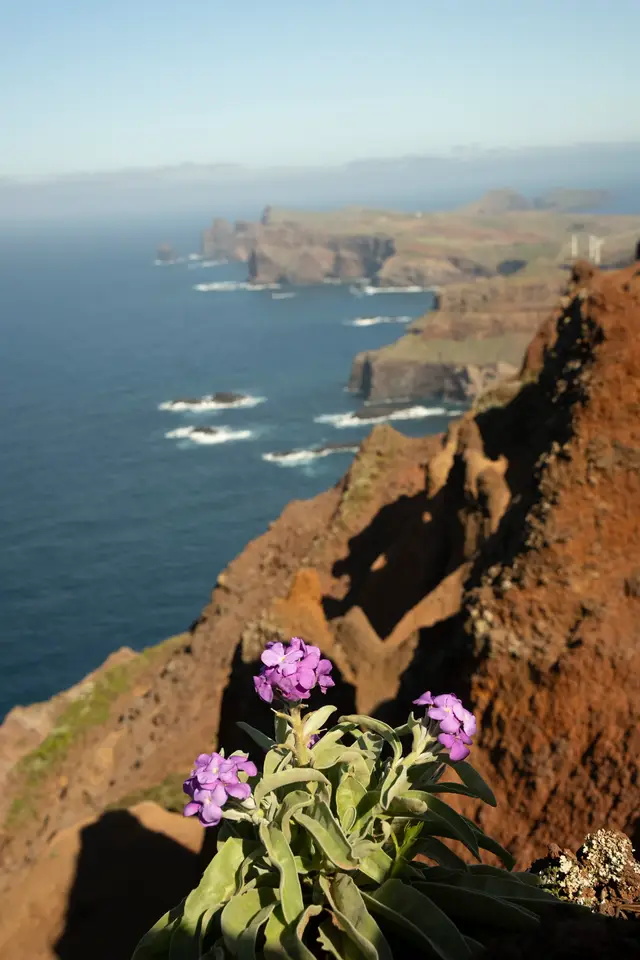 Madeira, travel photo 97 of 121 by Pixellab-Media