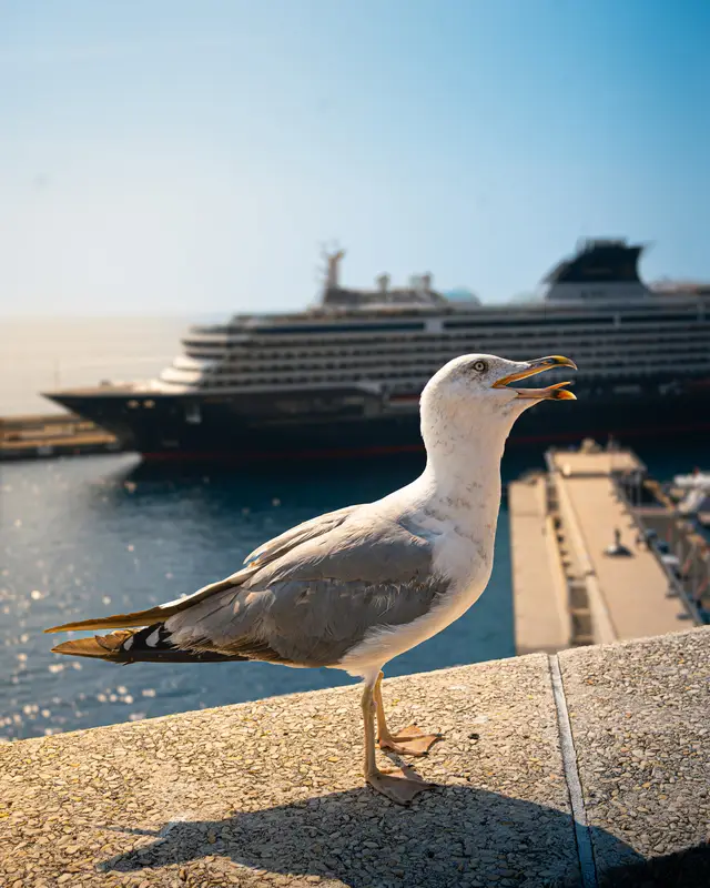 Monaco, travel photo 13 of 20 by Pixellab-Media