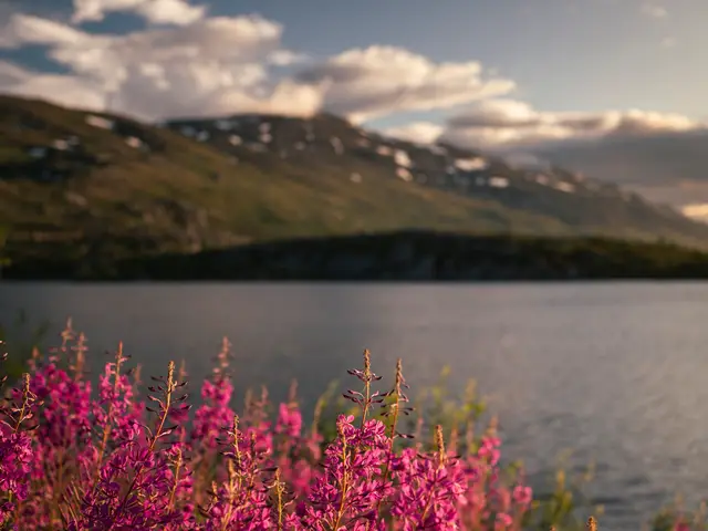 Sweden, travel photo 2 of 18 by Pixellab-Media