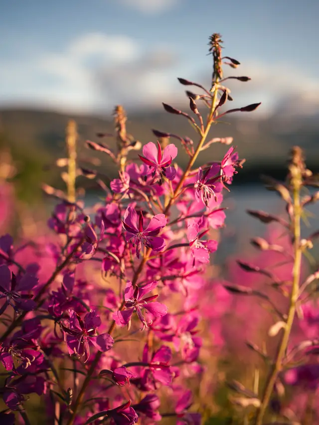 Sweden, travel photo 4 of 18 by Pixellab-Media