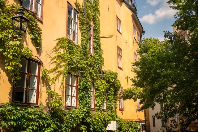 Sweden, travel photo 7 of 18 by Pixellab-Media