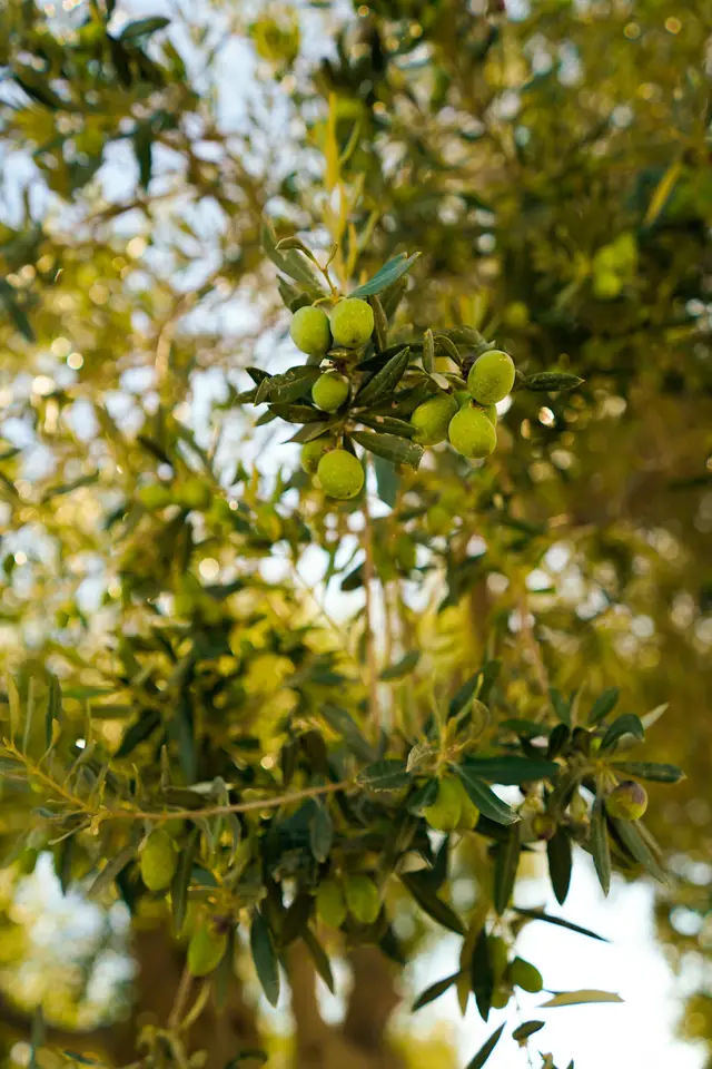 Cyprus, travel photo 13 of 25 by Pixellab-Media